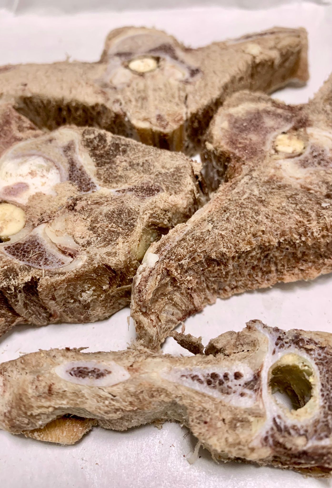 凍乾紐西蘭羊蠍子 Freeze-dried lamb ribs_0