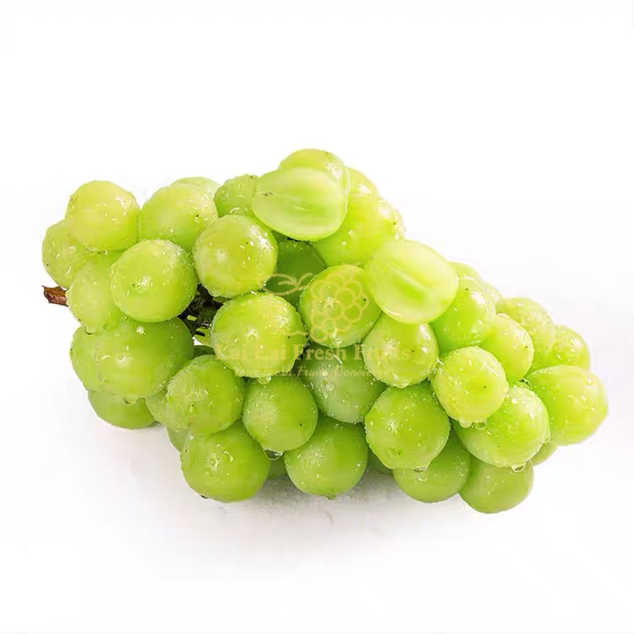 China Shine Muscat_0