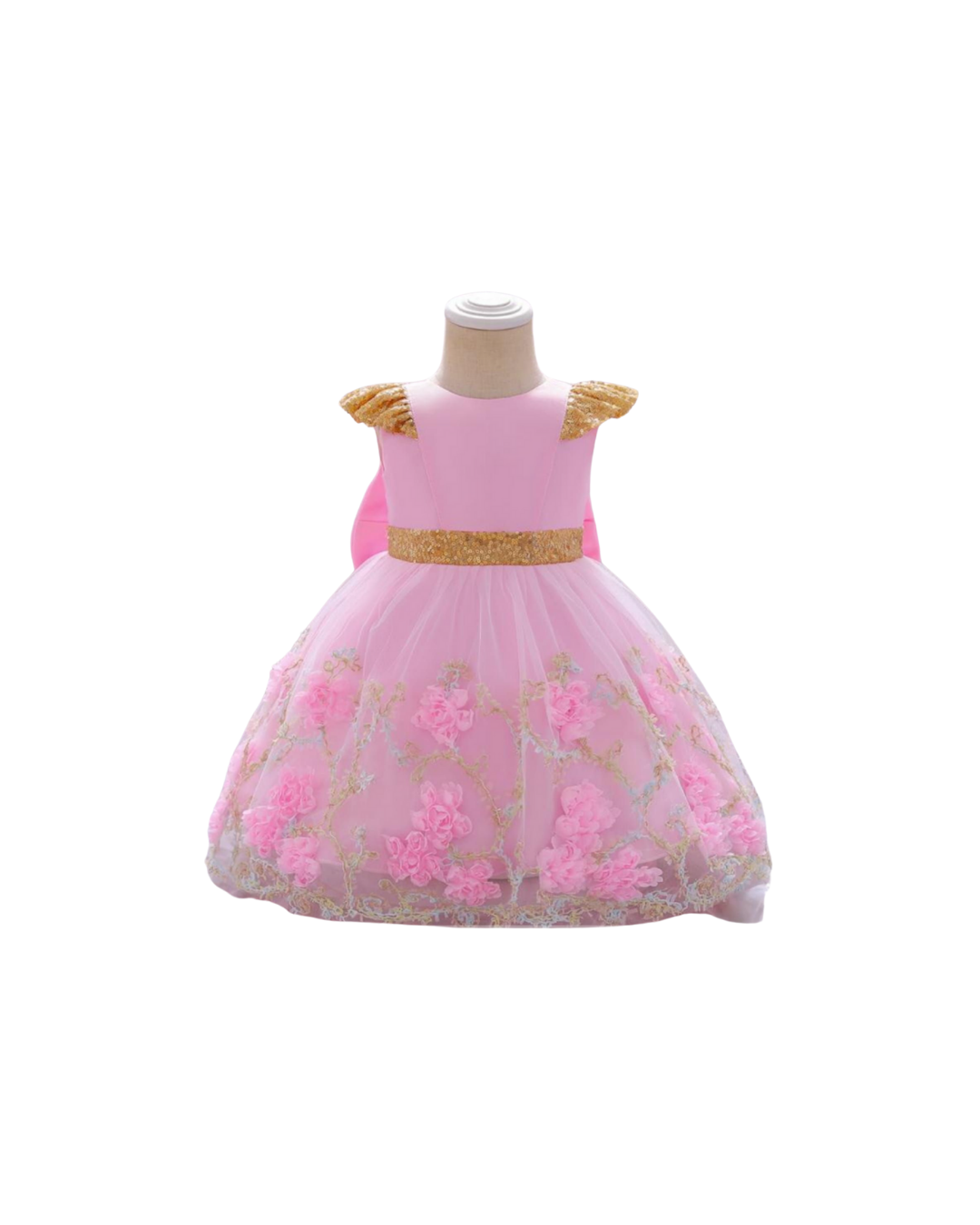  Princess Winged Party Dress _4
