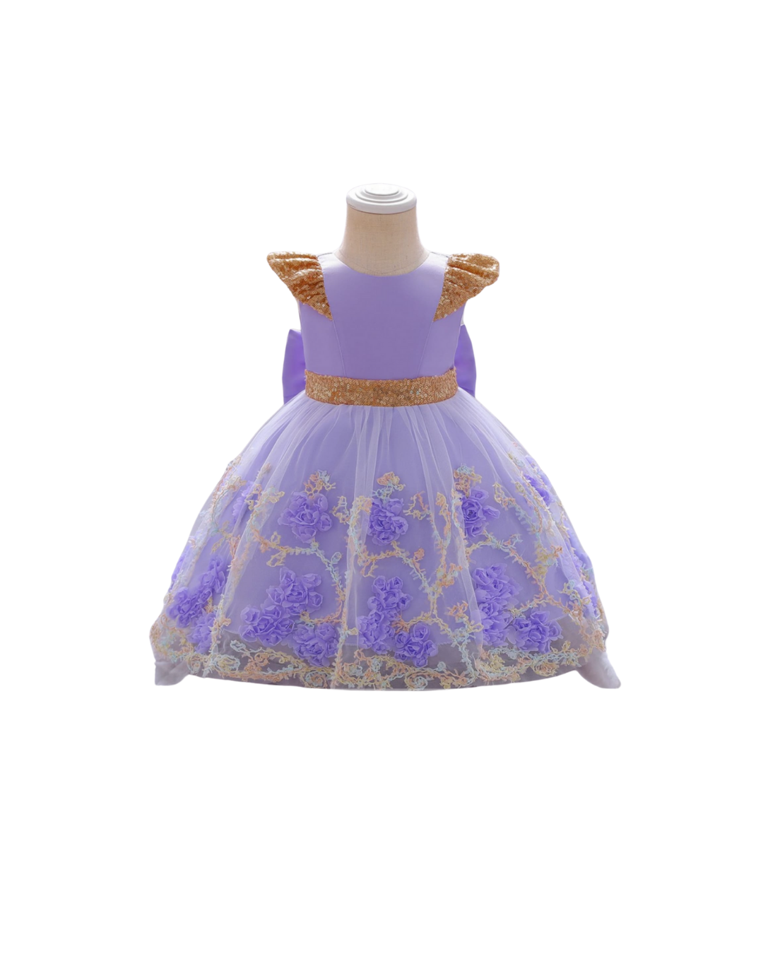  Princess Winged Party Dress _5