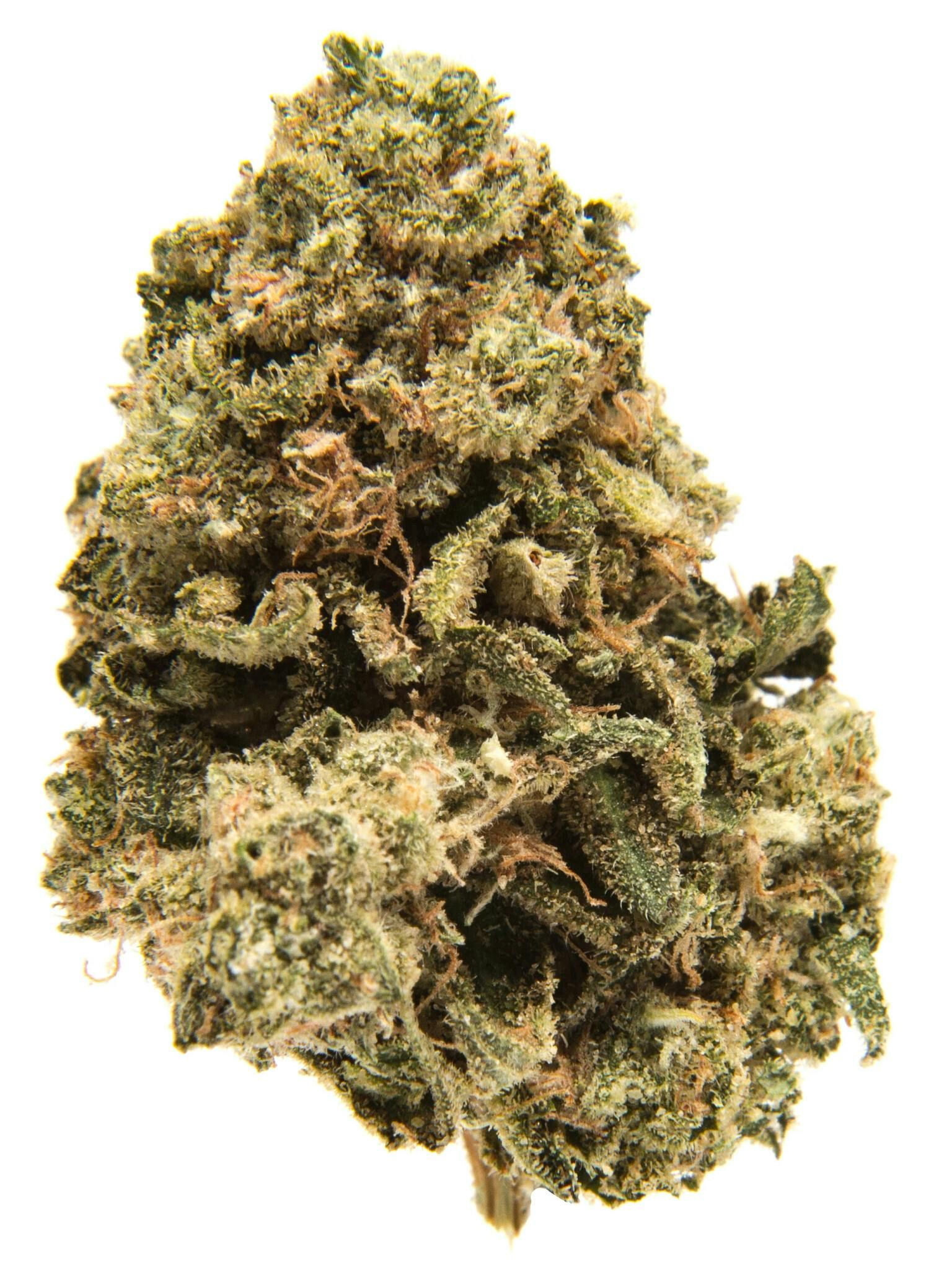 Zaza weed  strain _0