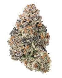 Gelonade  strain _0