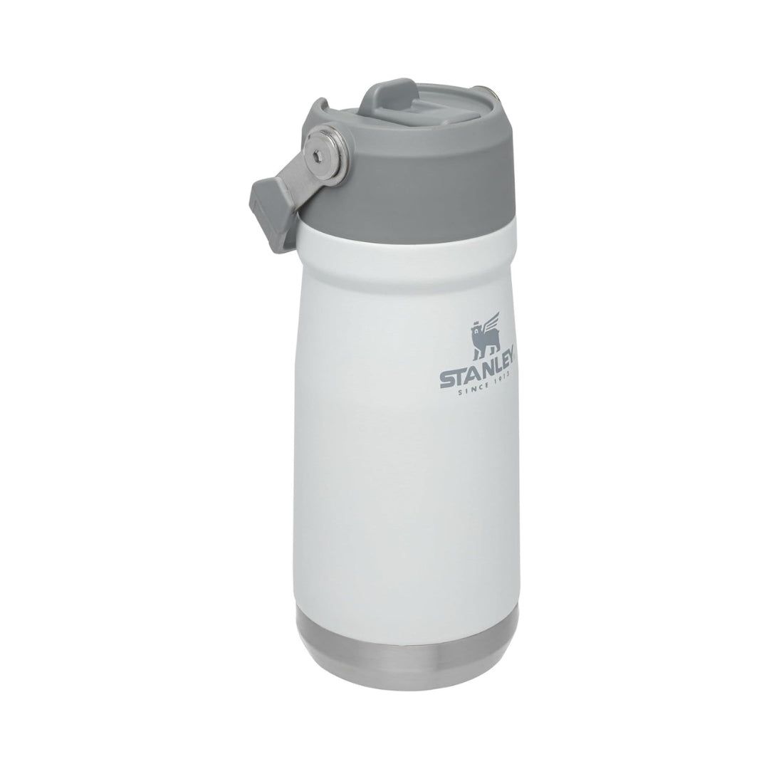 STANLEY IceFlow Flip Straw Water Bottle 22oz_2