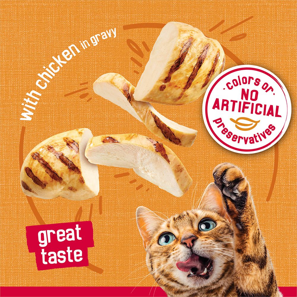 Friskies Prime Filets With Chicken in Gravy Wet Cat Food_2