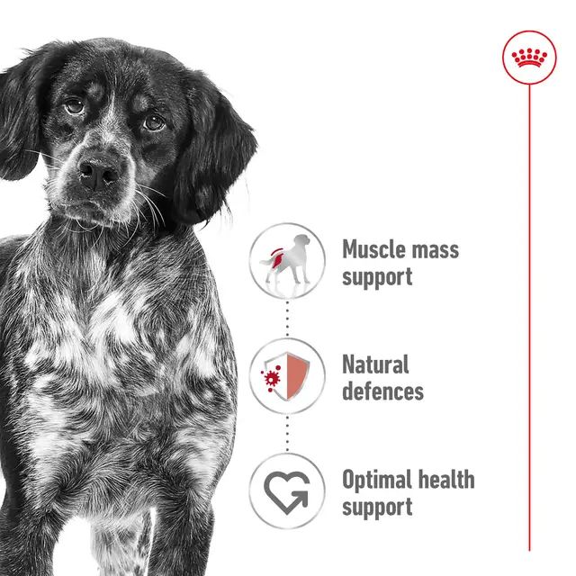 Size Health Nutrition Medium Puppy (Wet Food &#8211; Pouches) 140g_1