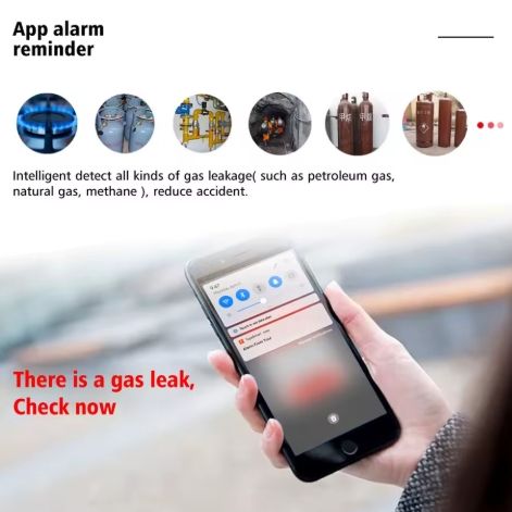 WI-FI SMART GAS ALARM_3