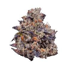 Lemon Cherry Gelato _0