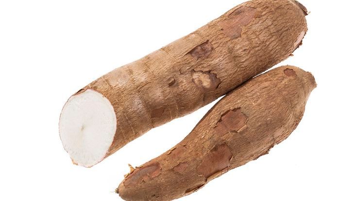 Yuca_0