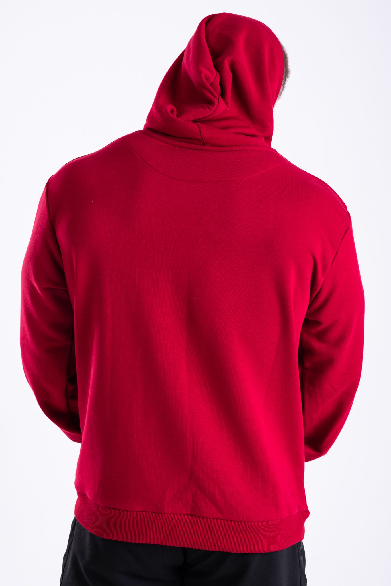 Icon Hoodie (red)_2