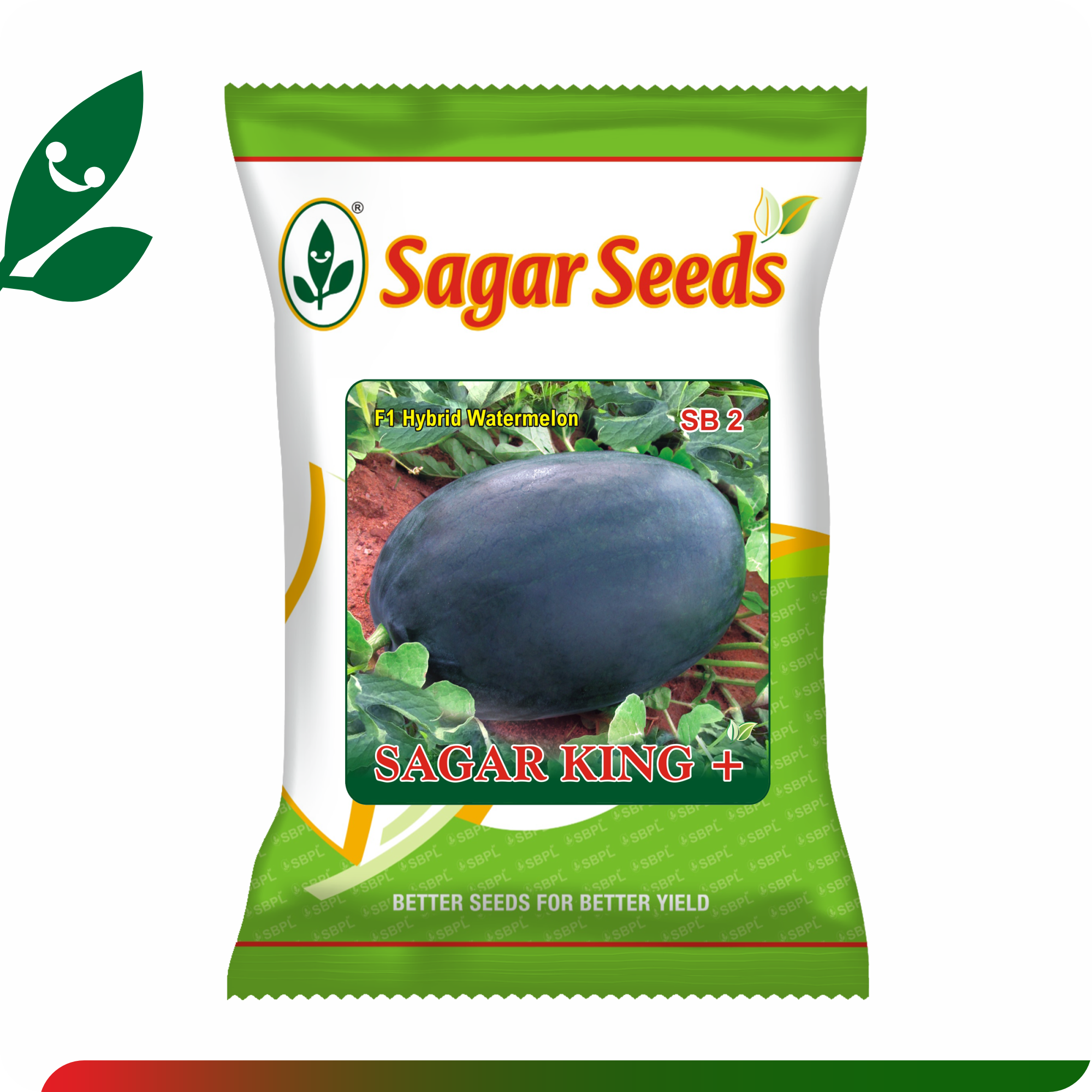 Sagar King plus F1 Watermelon(50g)_0