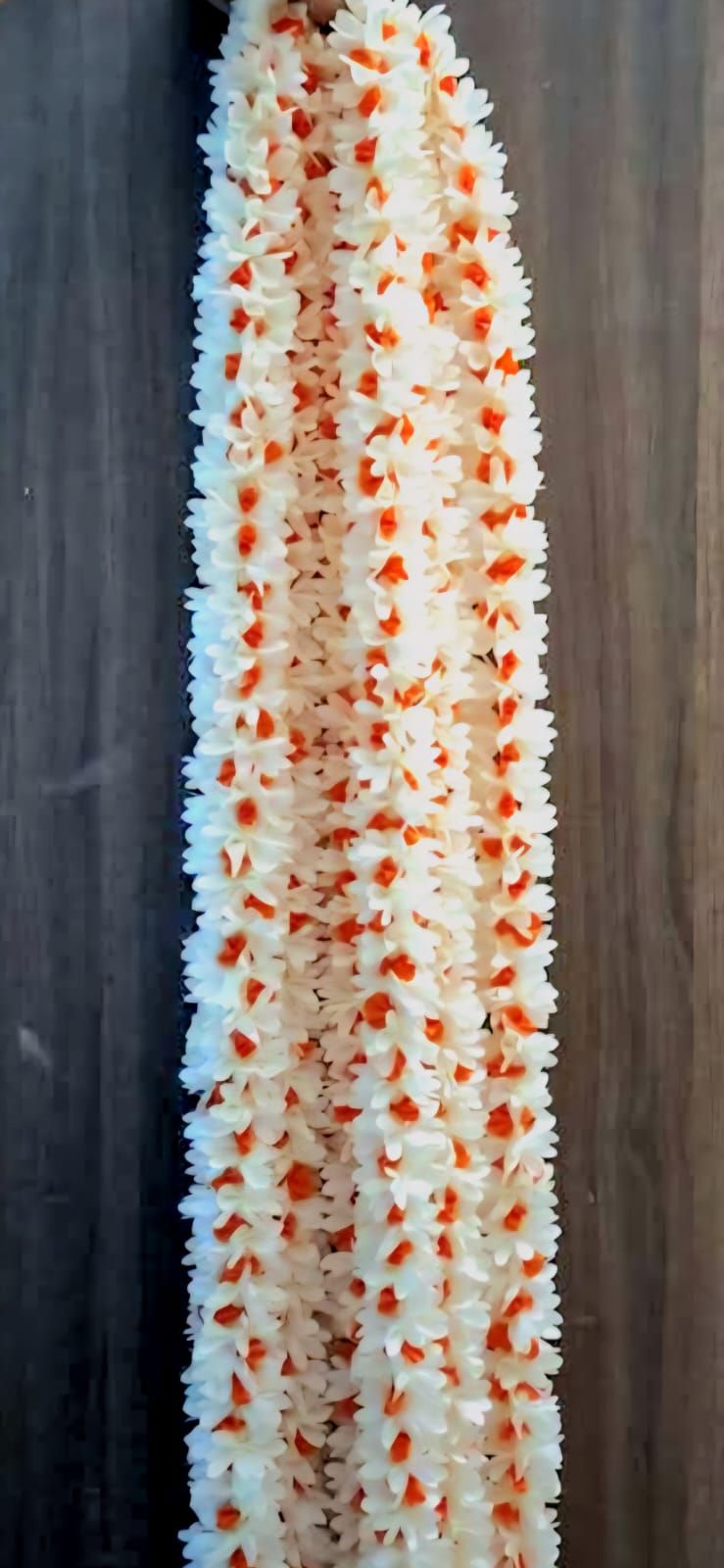 Parijath Thoran (orange)_0