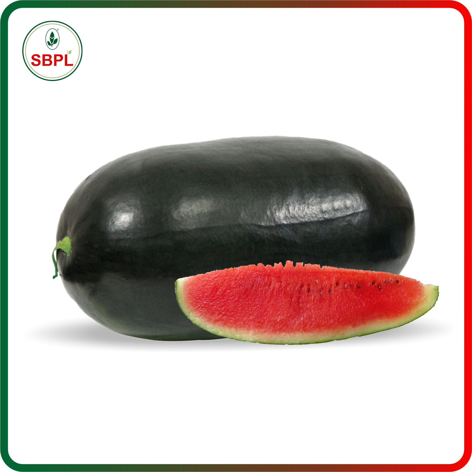 Sagar Captain F1 Watermelon(50g)_1