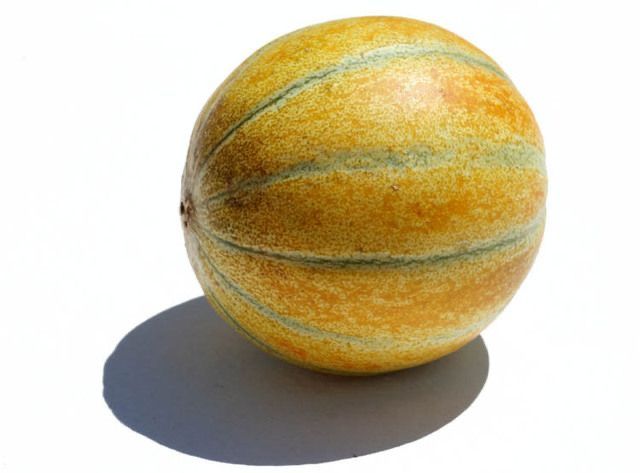 بطيخ شمام _0