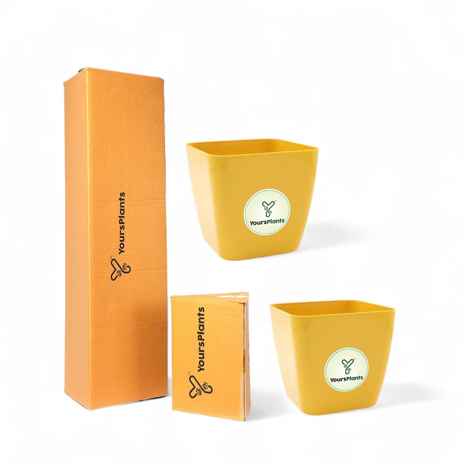 Siena Square Planters | Pack of 2 Mustard Pot_5