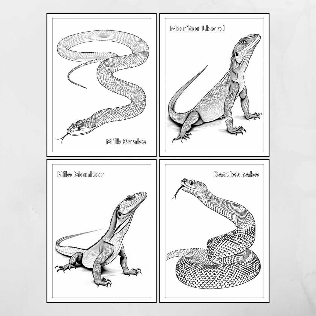 Wilin Digital - 30 Coloring Books / Lembar Mewarnai Digital Reptile Animals_1
