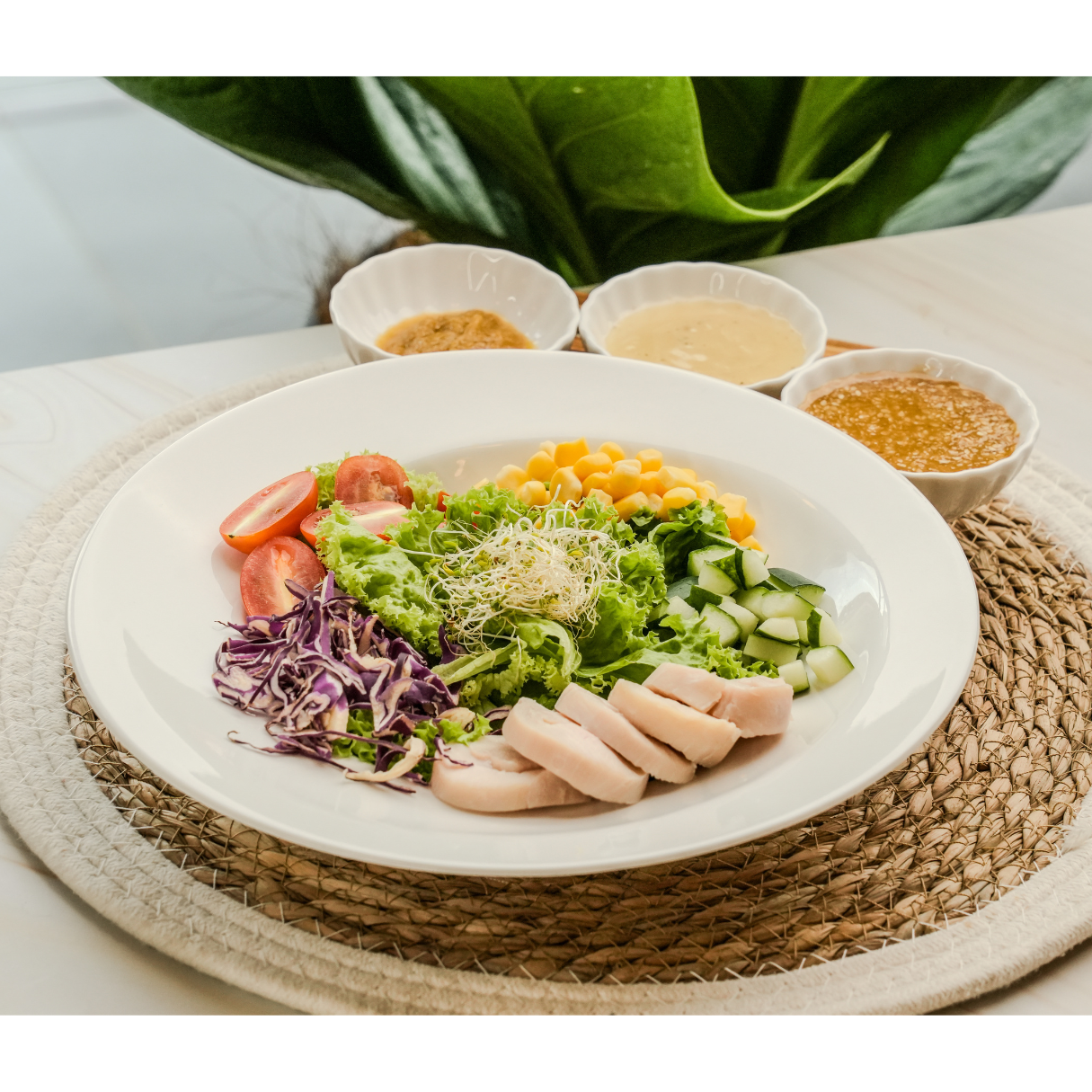 ALC01. Plain Salad _0