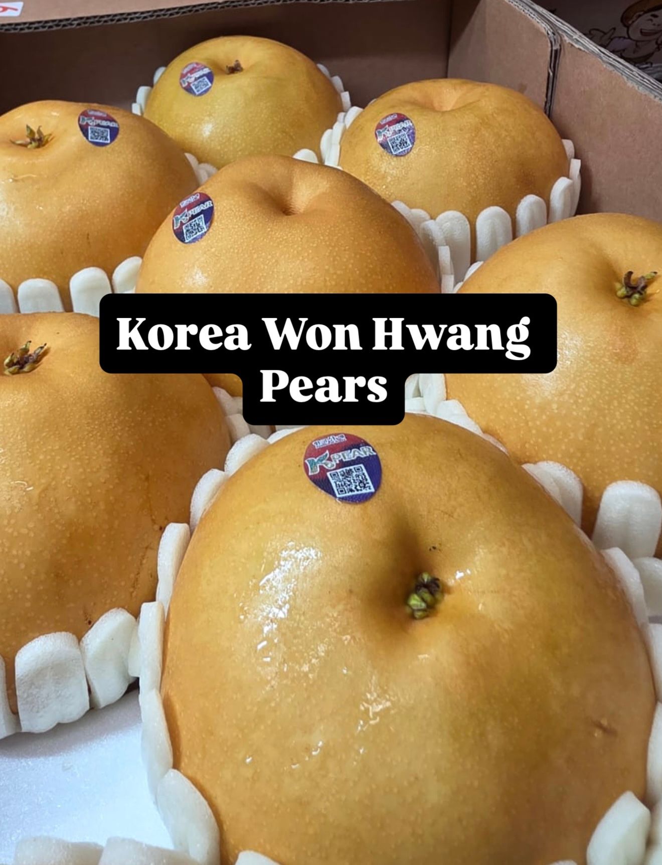 KOREA WON HWANG PEARS (XL)_0