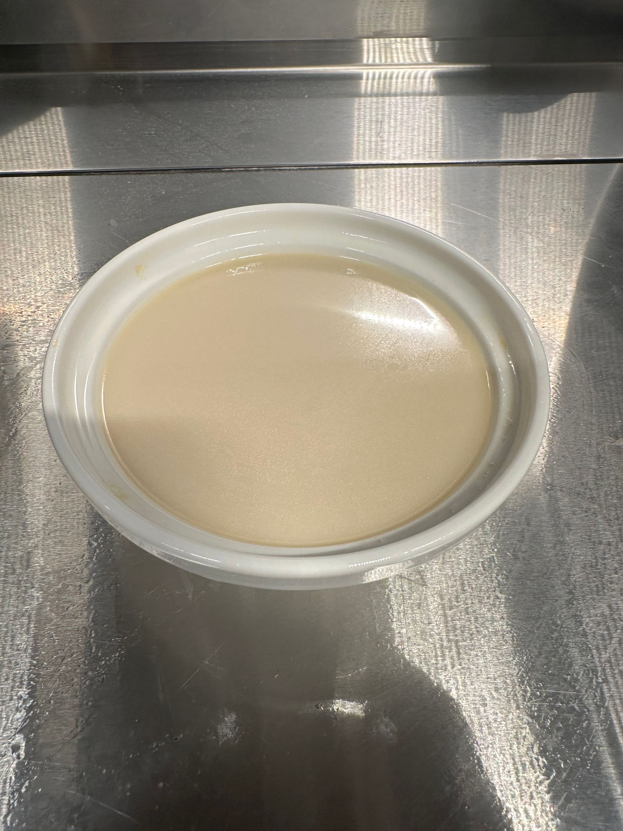 Deep Sea Fish Soup Stock_0