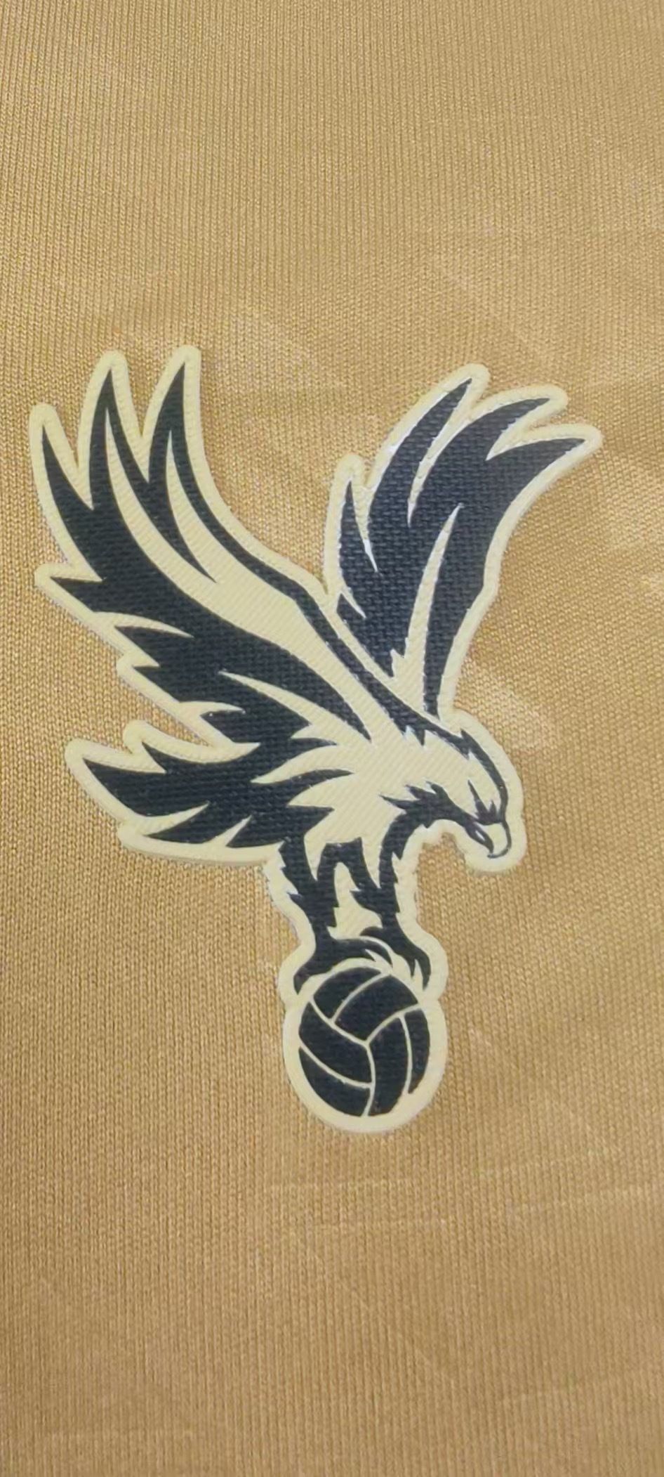 Crystal Palace  2025/26 Third Shirt (Gold / Black)_2