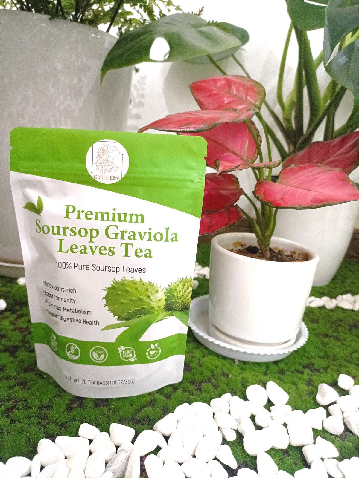 Premium Soursop Graviola Leaves TEA_0