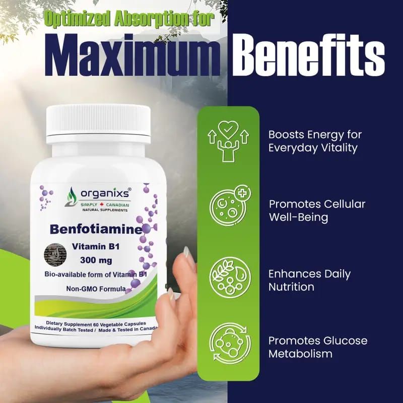 ORGANIXS VITAMIN B1 BENFOTIAMINE 300mg_3