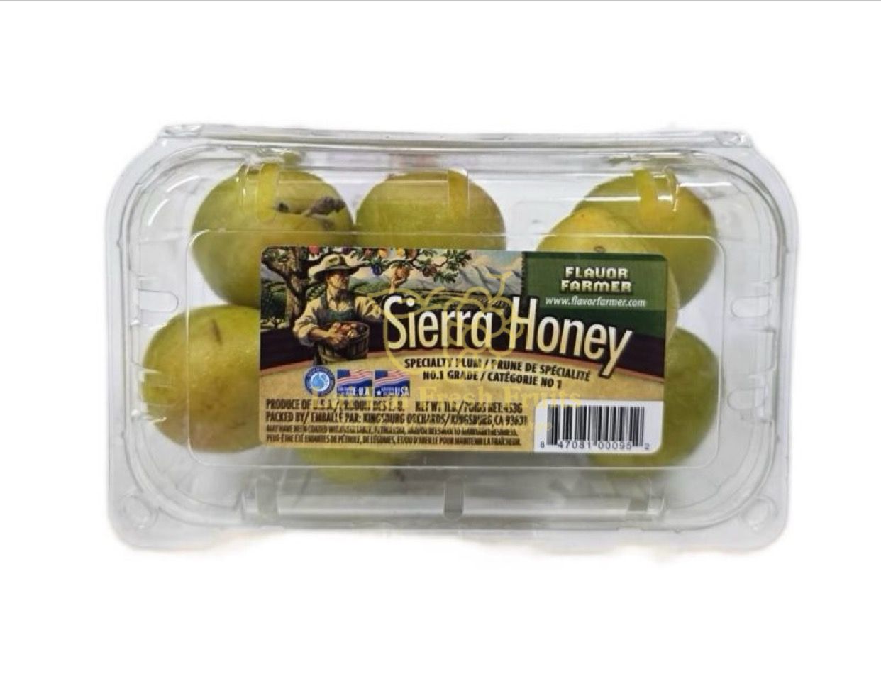 USA Sierra Honey Plucot_0