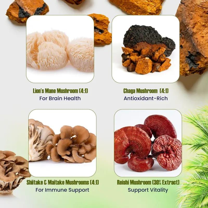 ORGANIXS LION'S MANE MUSHROOM COMPLEX_2