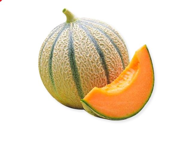 France Cantaloupe _0