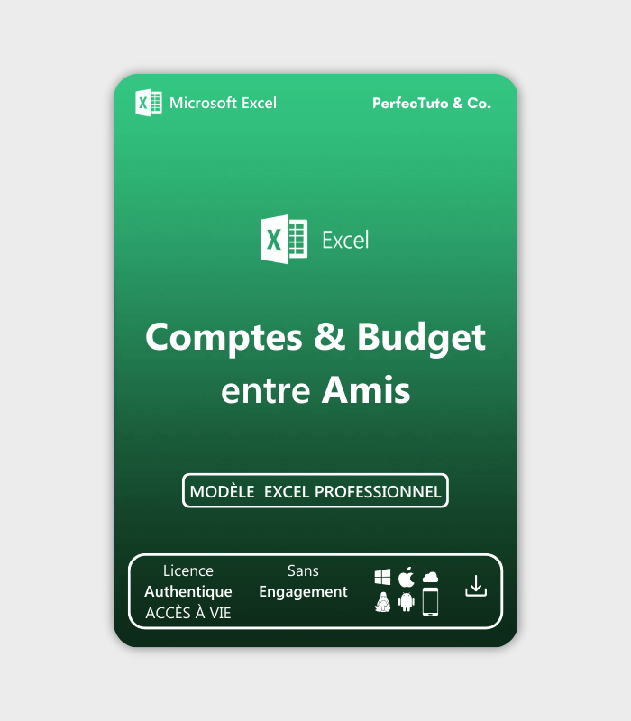 Comptes et Budget entre Amis_2