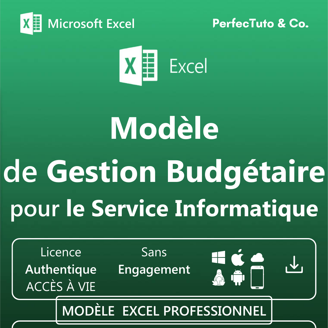 Budget pour Service informatique_1