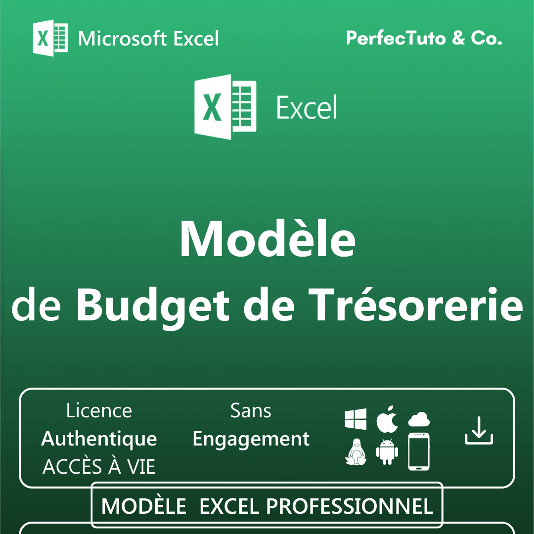 Budget de Trésorerie_1