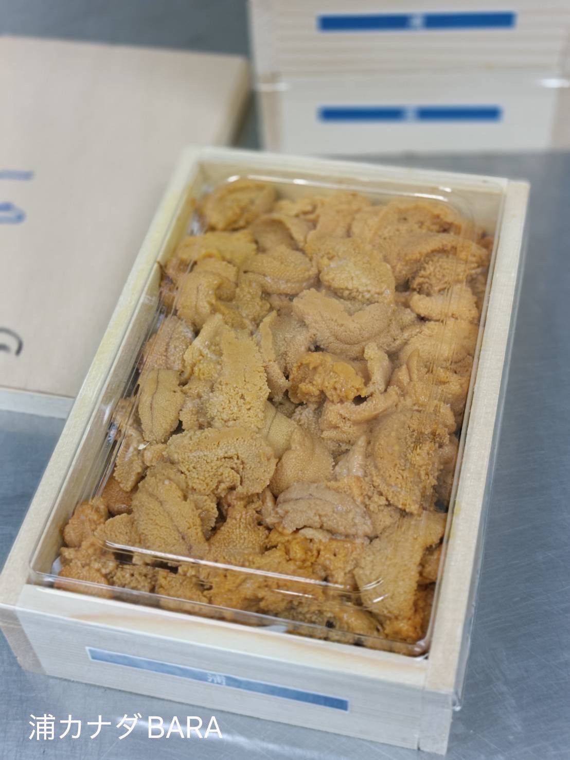 (WED BATCH) 250g 'Ura 浦' Bara Bafun Uni_0