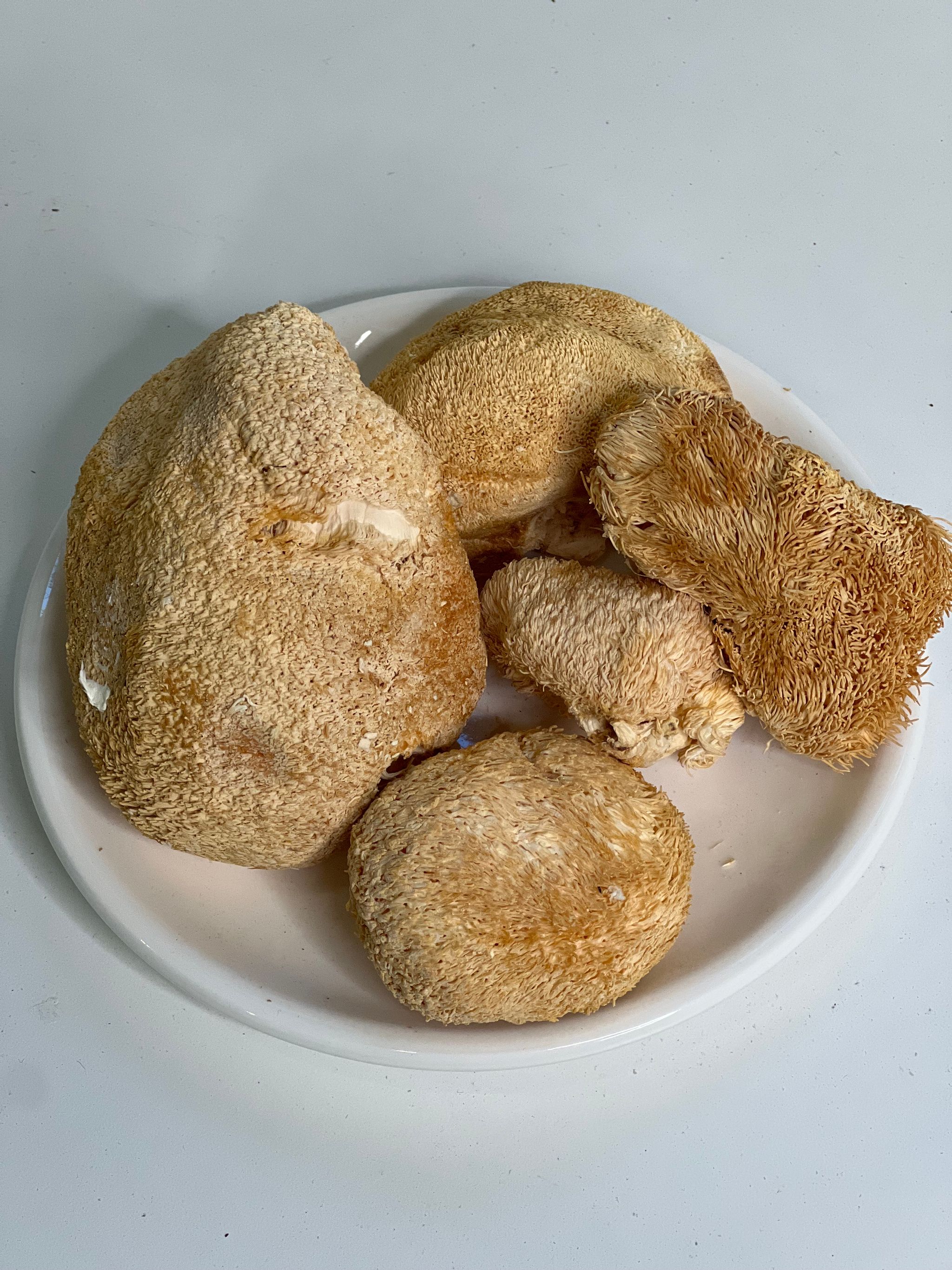 Lion’s Mane Mushroom (Large) 猴头菇(大) 80g_1