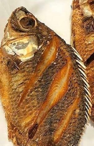 Fresh Fish (Grilled/Fried)_0