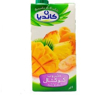 Boisson au jus de cocktail de fruits Candia -paqu. 1L_0