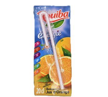 Boisson au jus d’orange Rouiba – 20cl_0