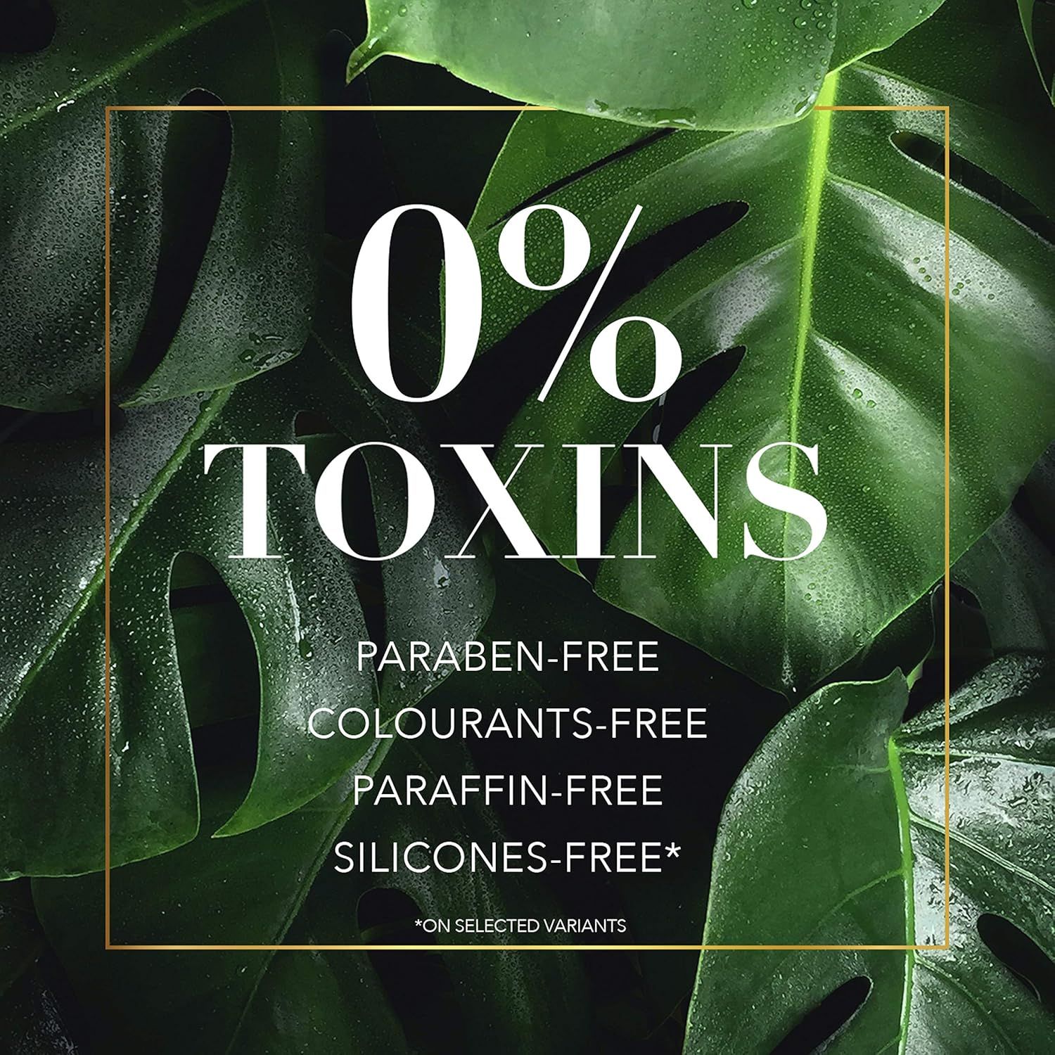 Herbal Essences Bio:Renew Volume Arabica Coffee Fruit Shampoo, 400 ml_3