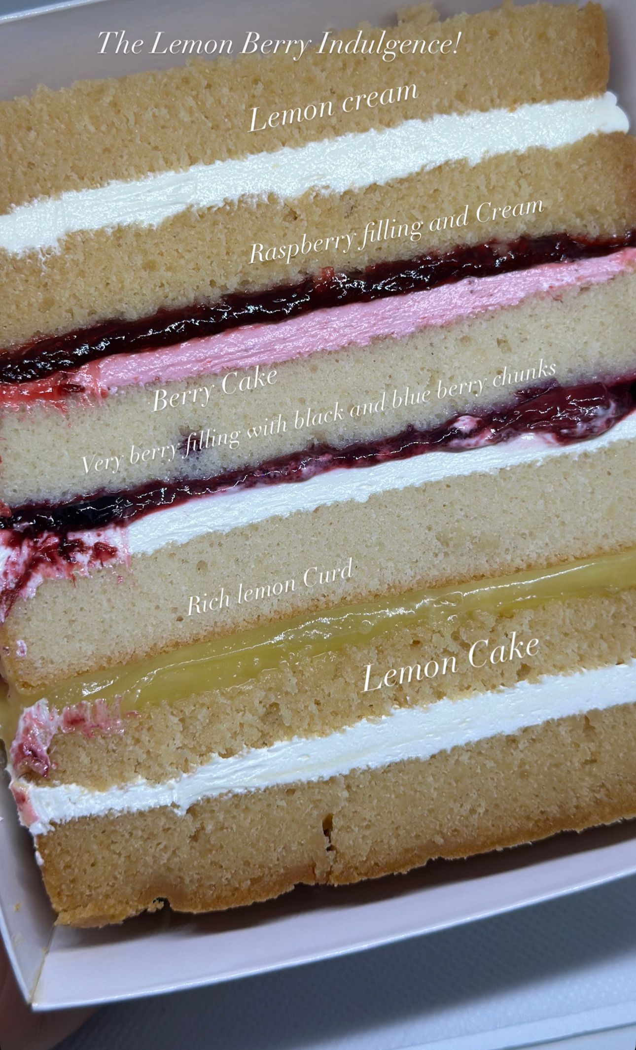 Cake Slices_2