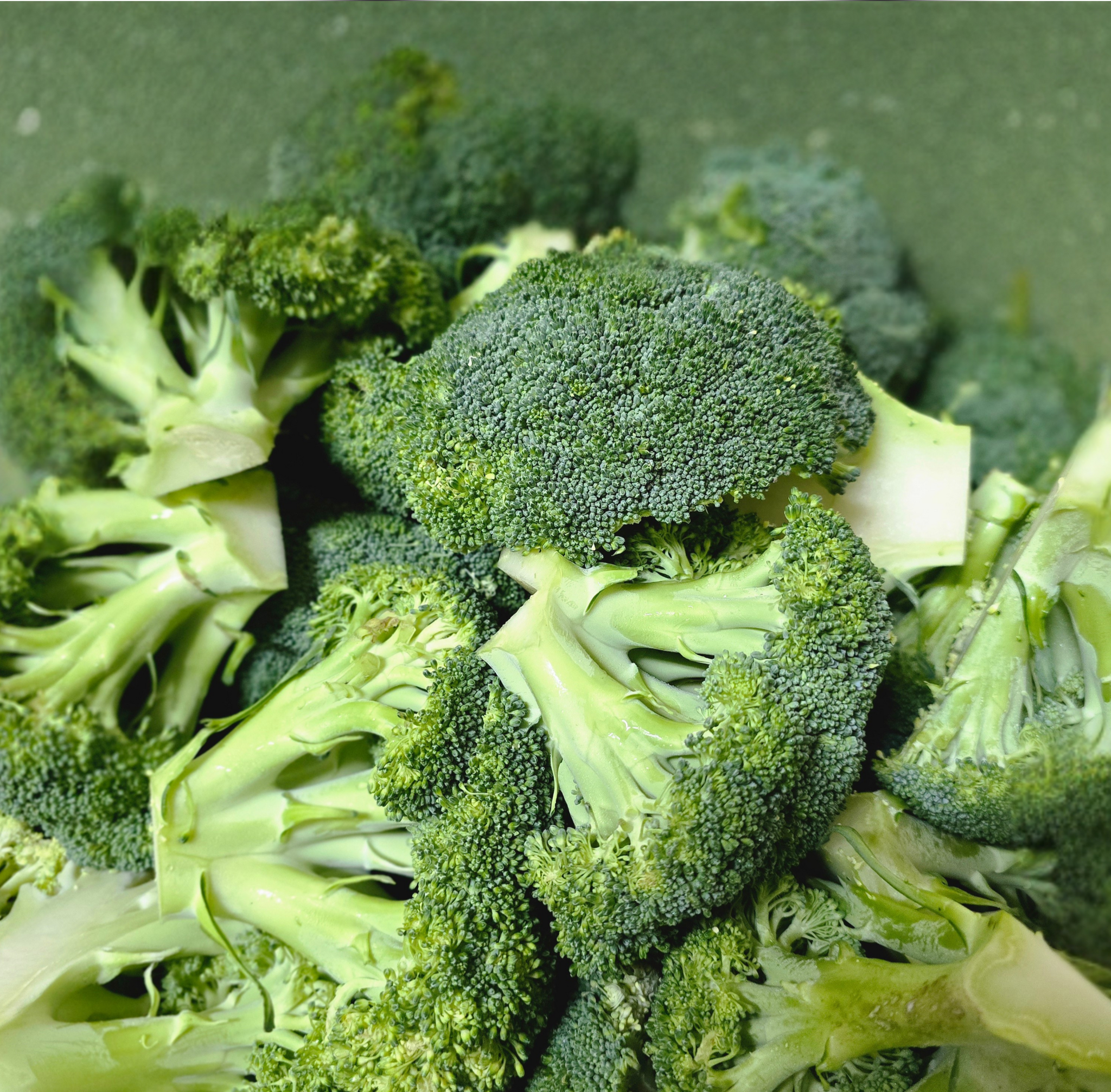 Broccoli _0