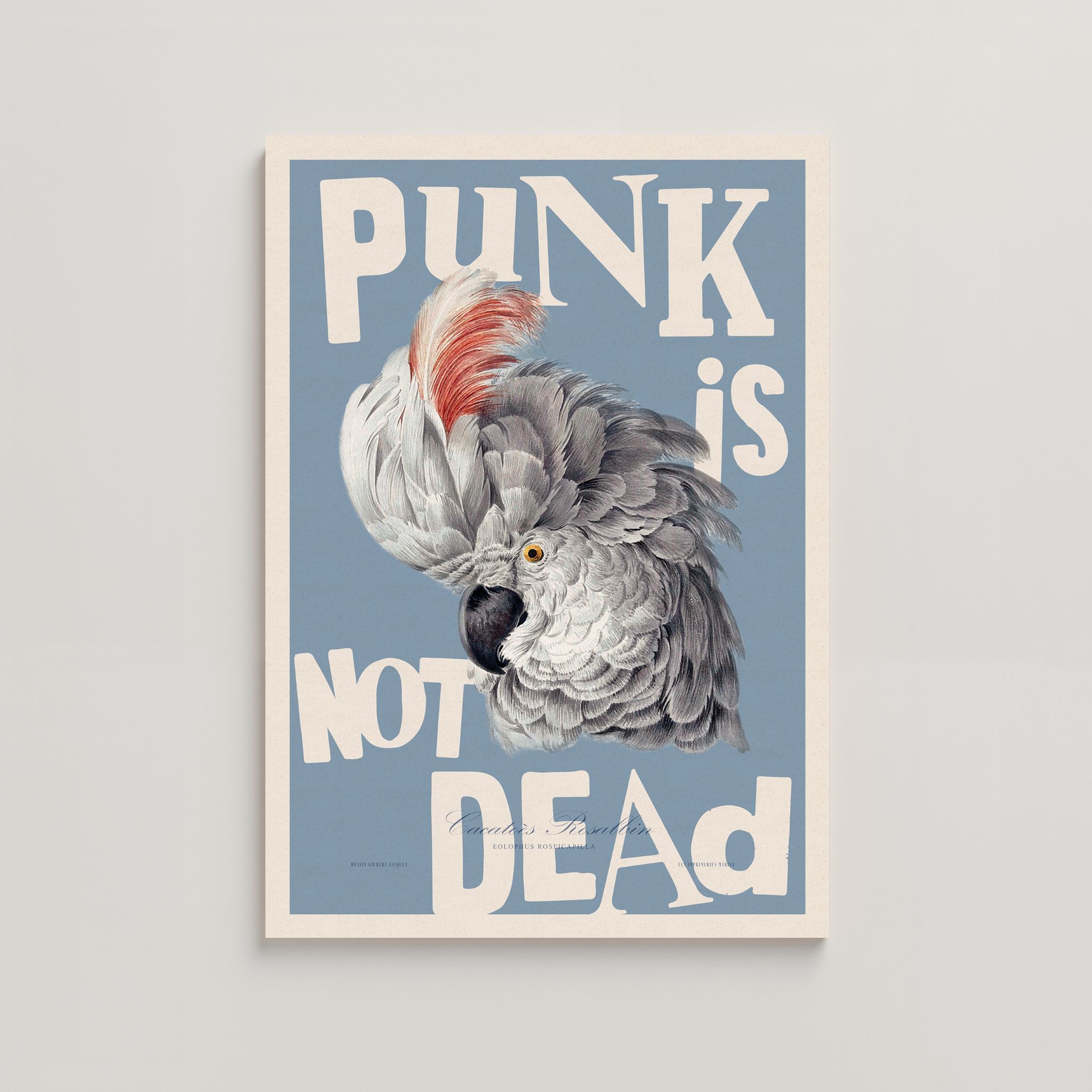 PUNK IS NOT DEAD_0