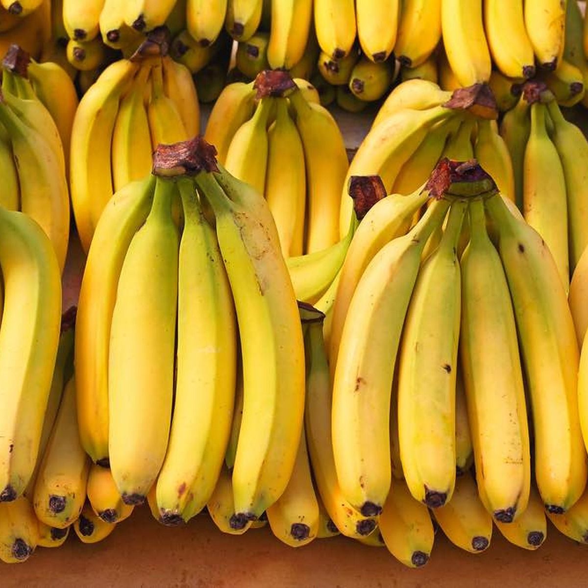 Banane Plantain_0