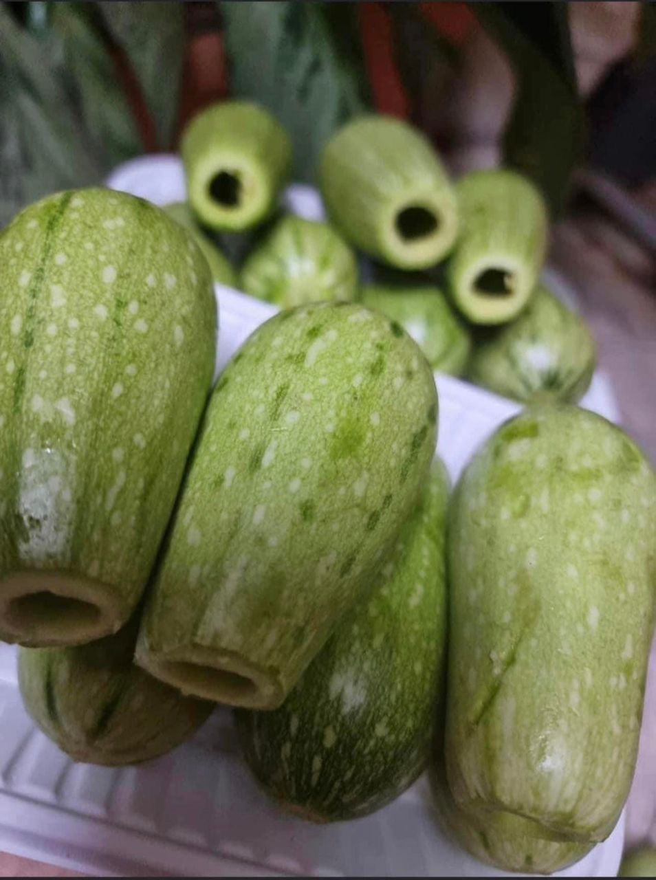 MPS36- Courgette creusée كوسى منقور_0