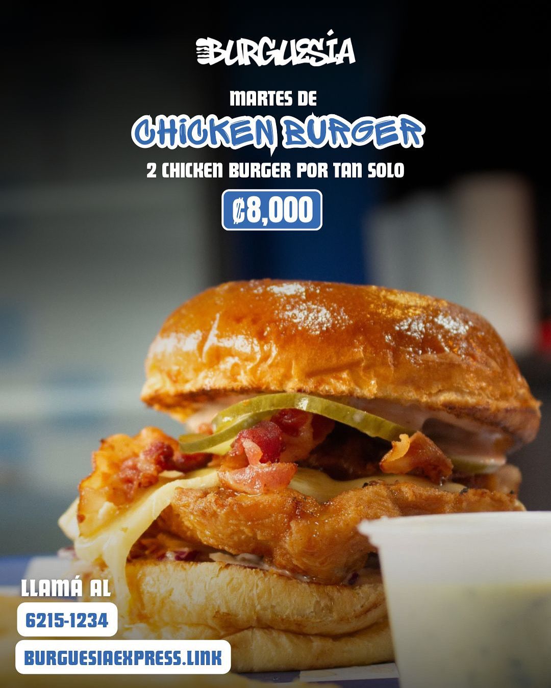 Chicken Burgers promo_0