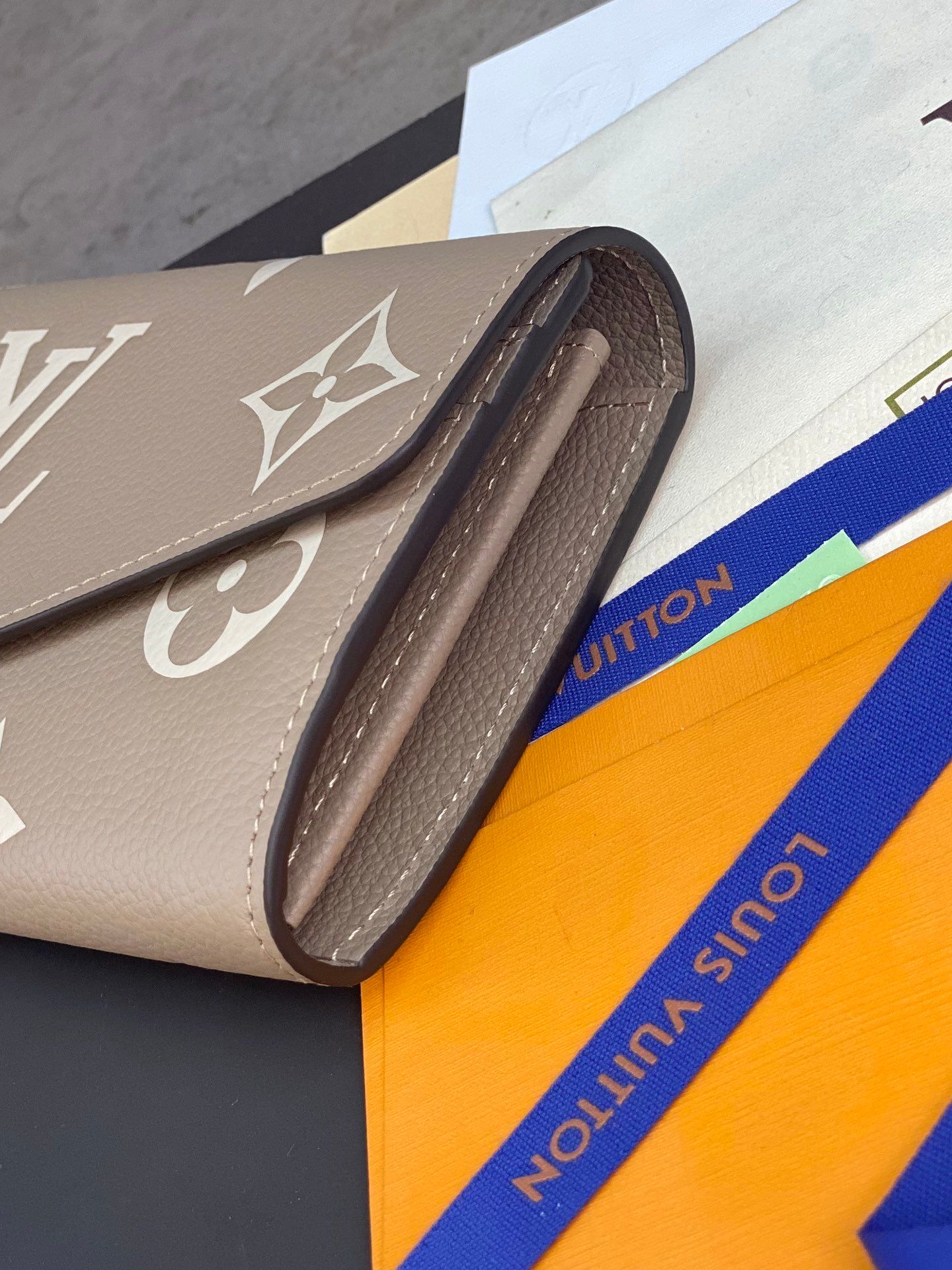 Cartera LV Victorine Monogram Bicolor_12