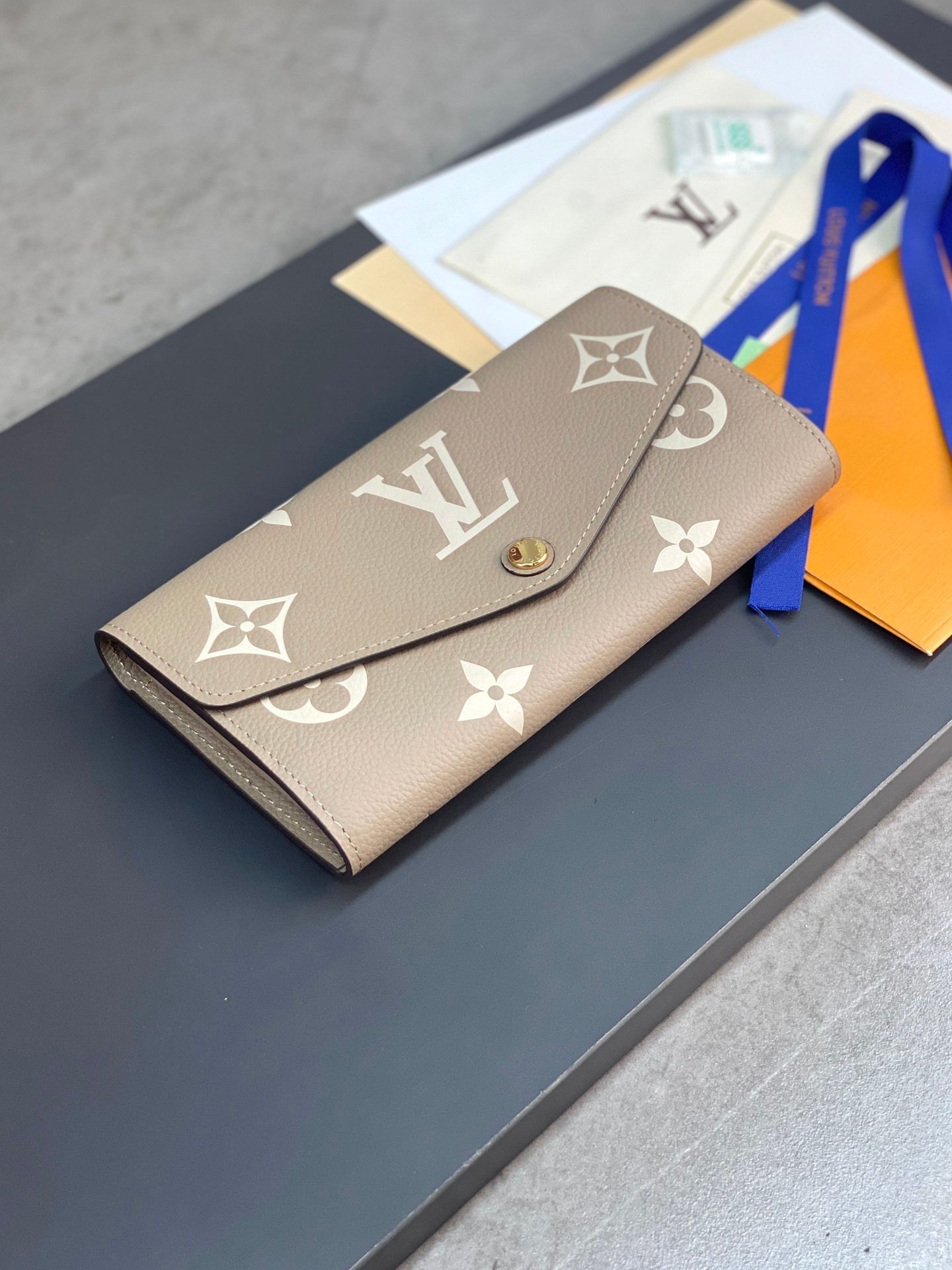 Cartera LV Victorine Monogram Bicolor_19