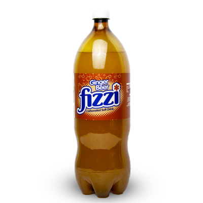 FIZZI GINGER 2L_0