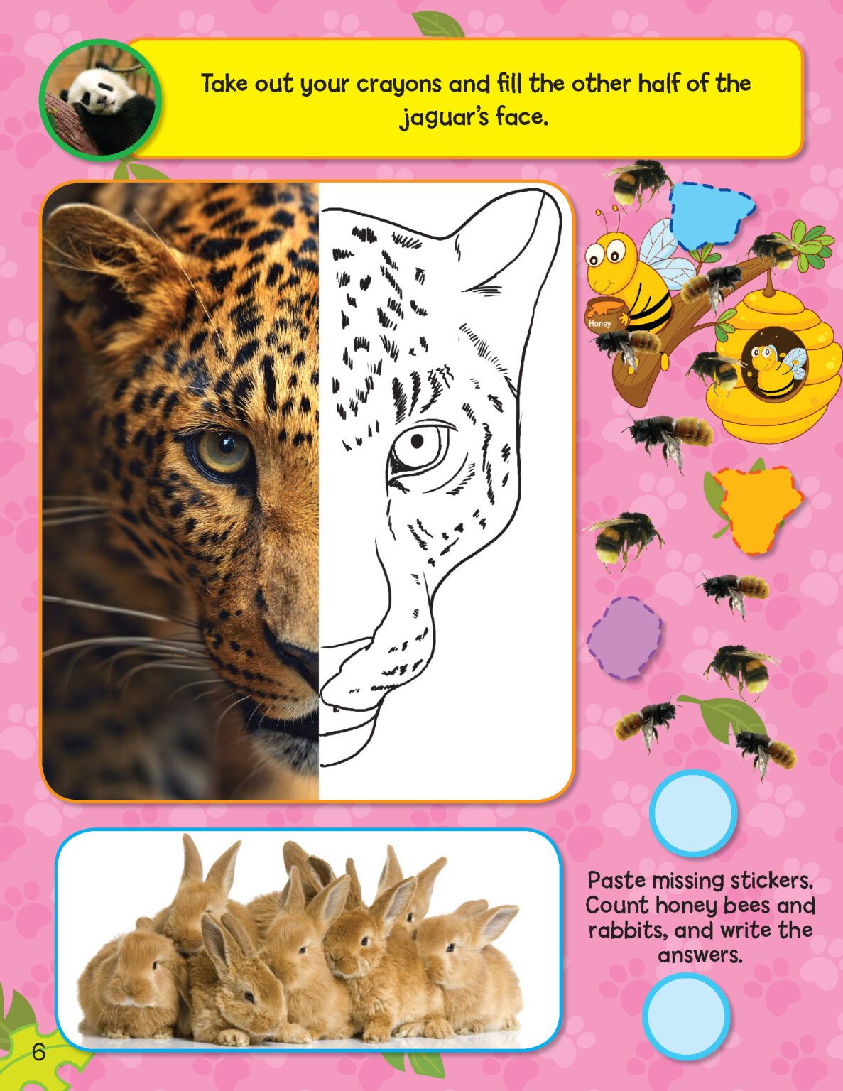 Sticker Activity Book - Jungle_8