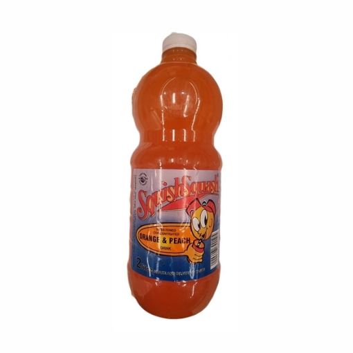 SQUISH SQUASH ORANGE/PEACH 6X2L_0