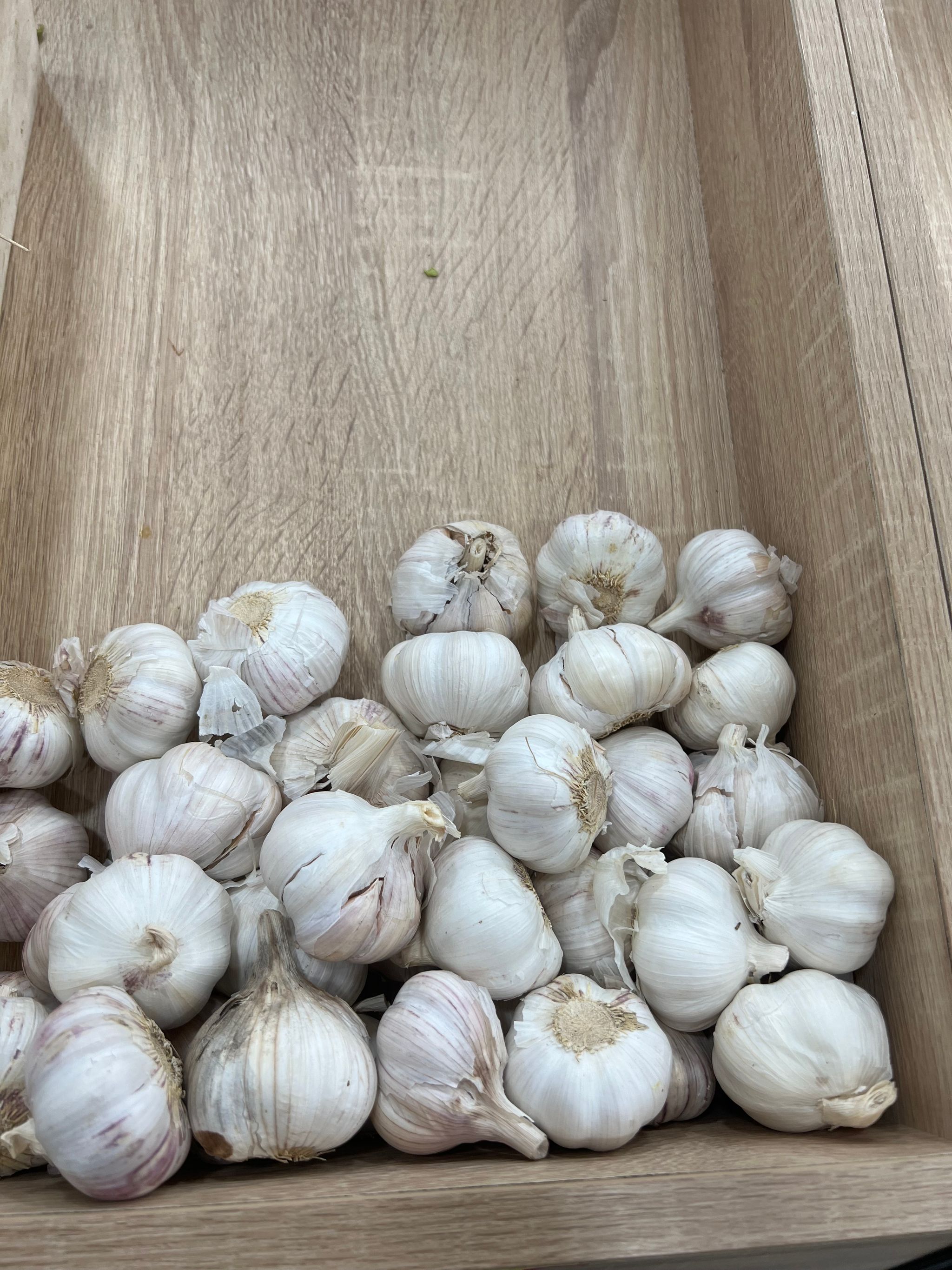 MPS68- Ail 1 kg Garlic ثوم_0