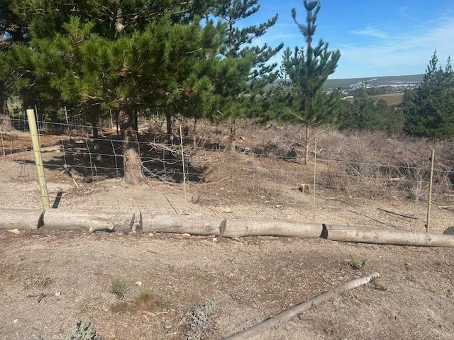 10mm fencing dropper (solid fibreglass rod)_1